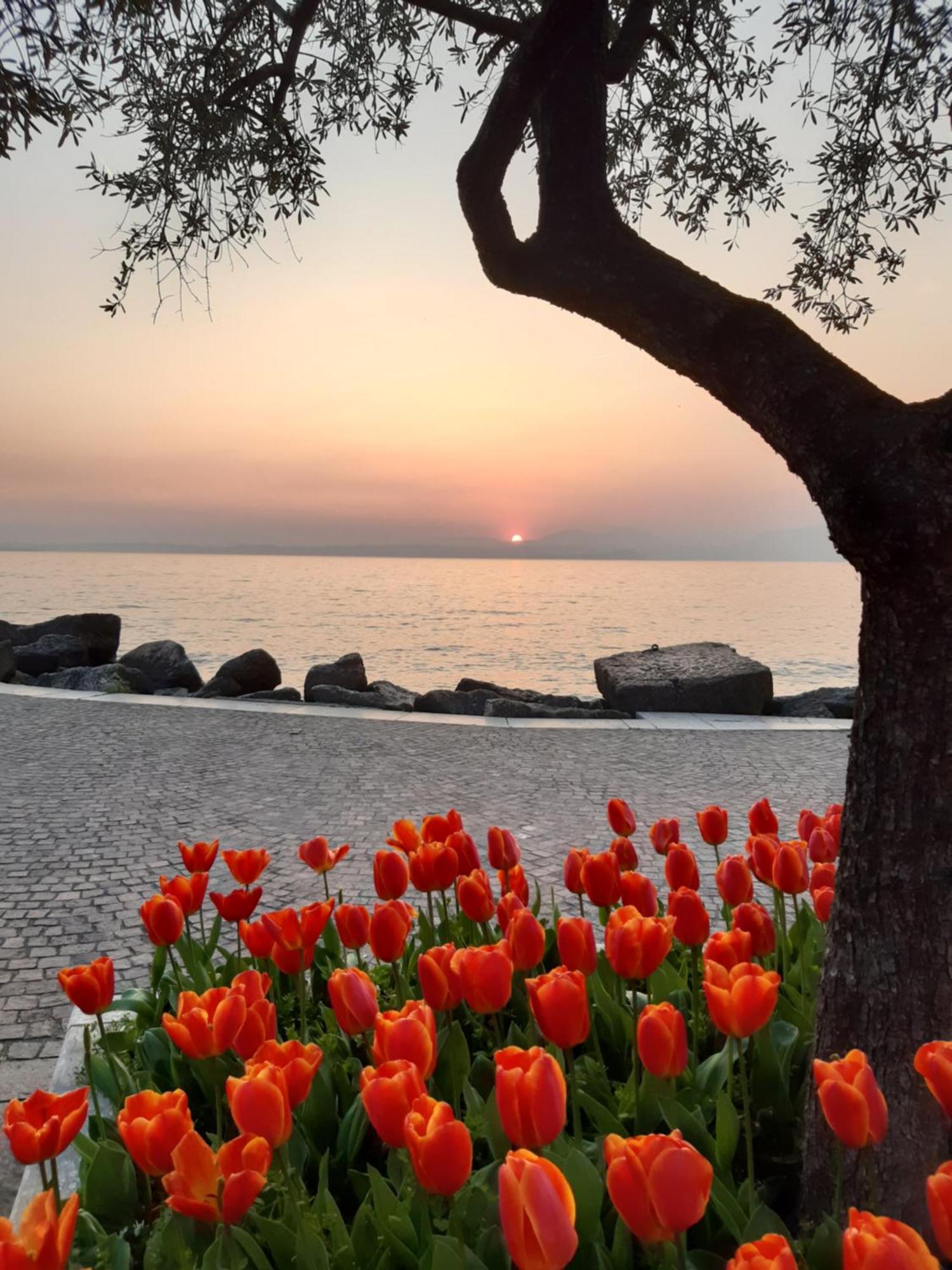 Magitti Appartamento Negrar Buitenkant foto