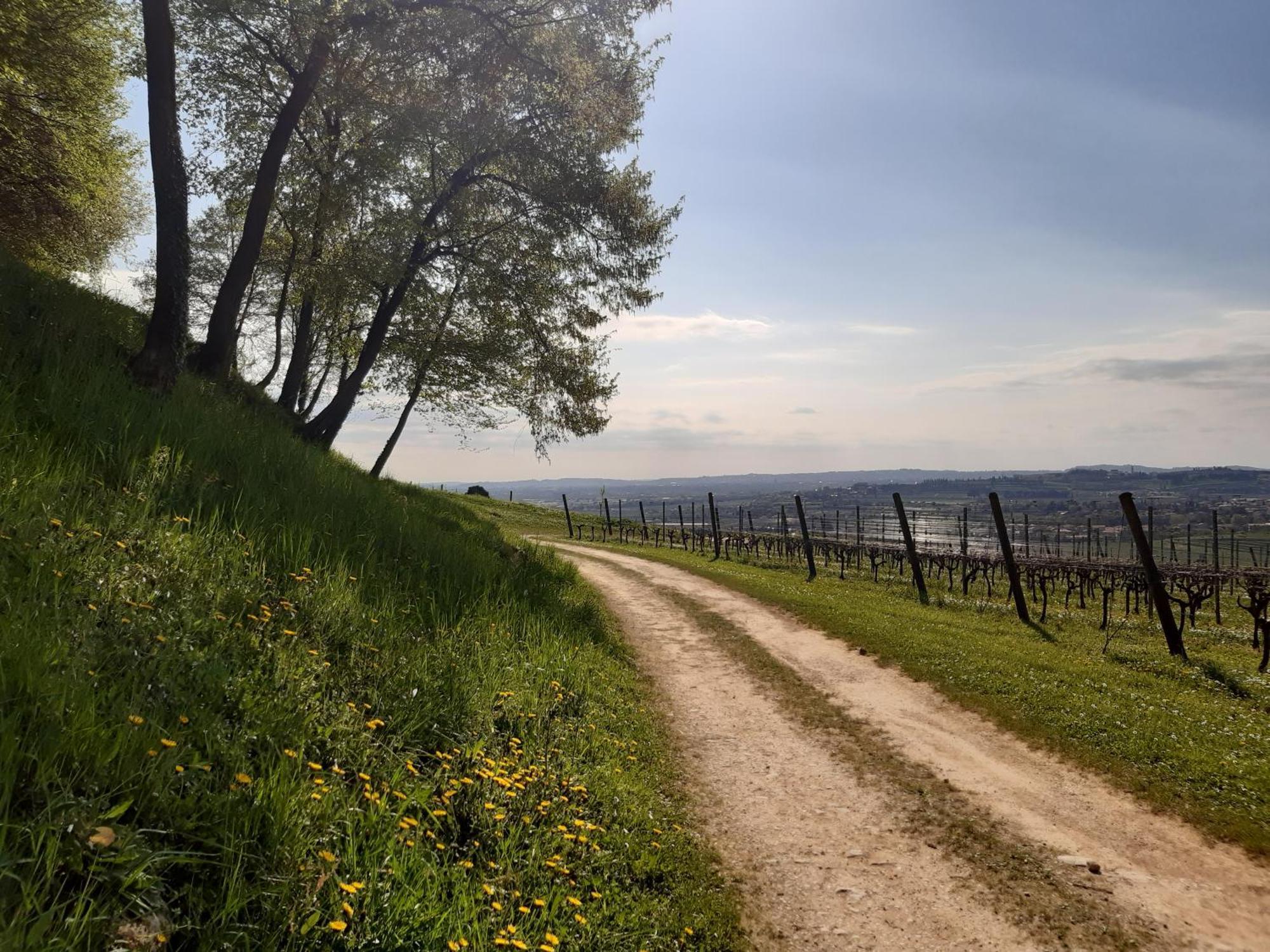Magitti Appartamento Negrar Buitenkant foto