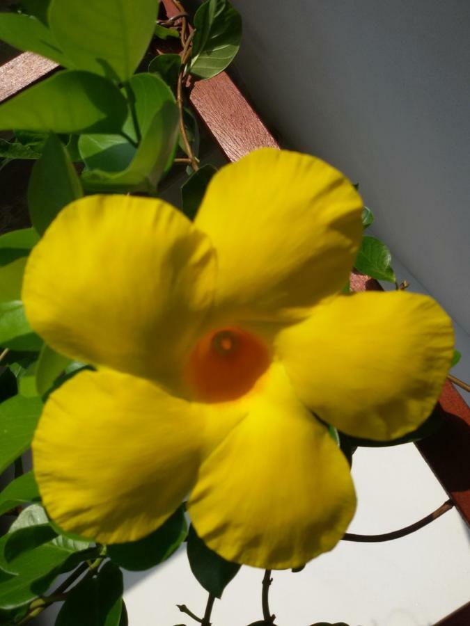 Magitti Appartamento Negrar Buitenkant foto