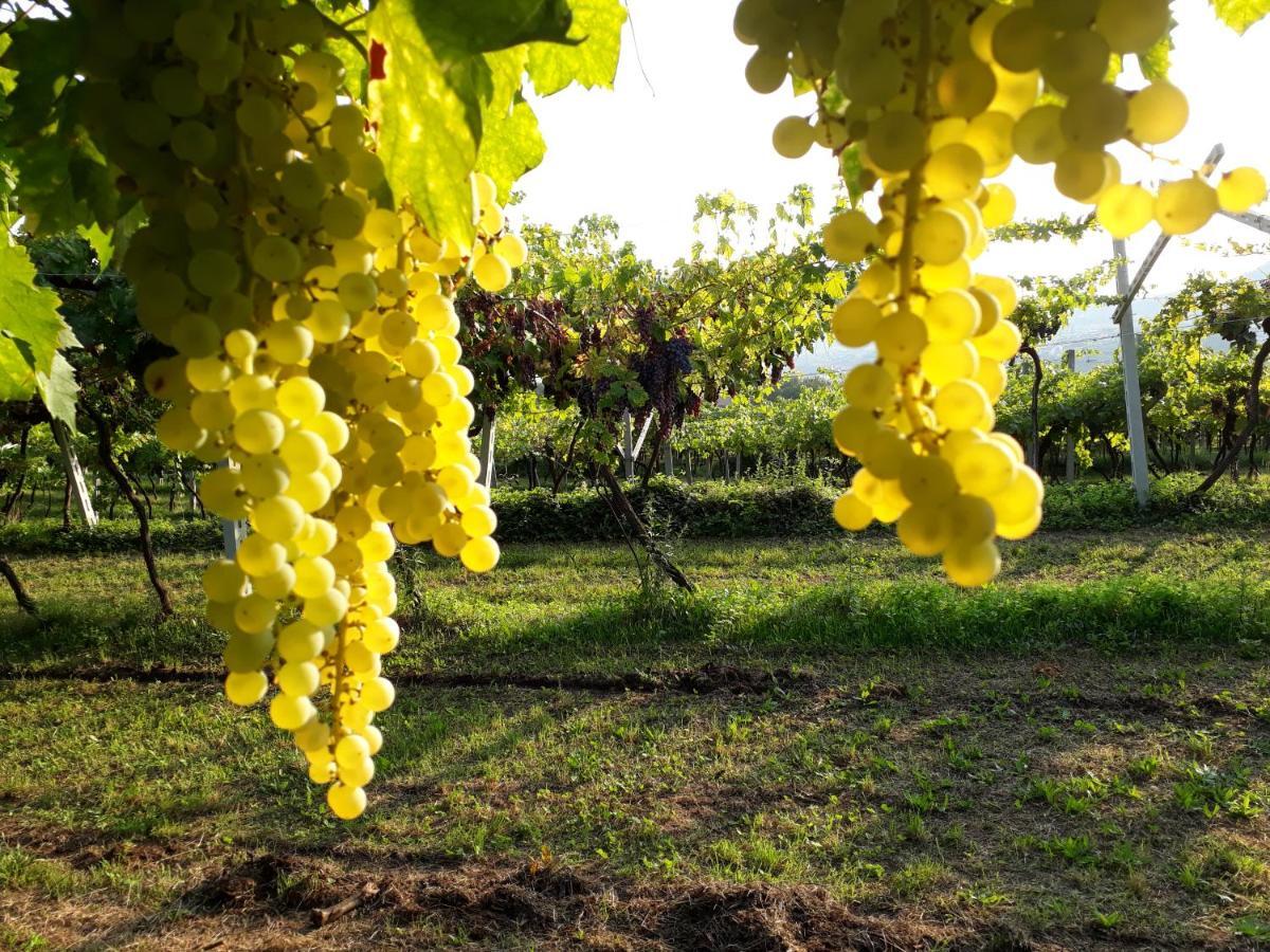 Magitti Appartamento Negrar Buitenkant foto
