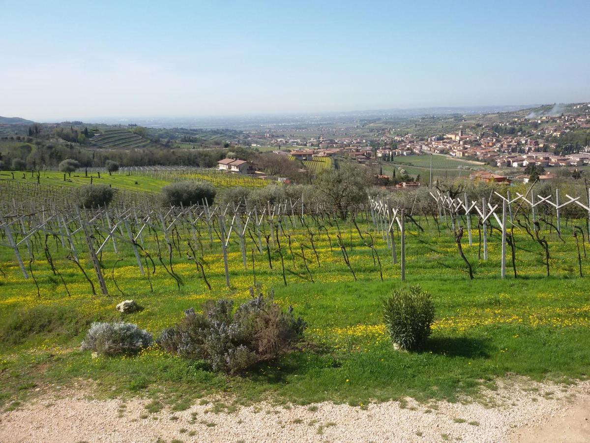 Magitti Appartamento Negrar Buitenkant foto
